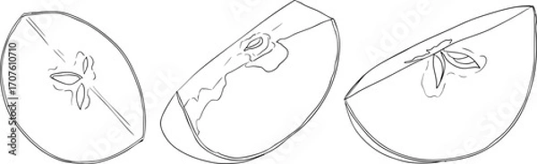 Fototapeta Line apples, perfect for educational or botanical designs. High quality illustration, coloring pages.	