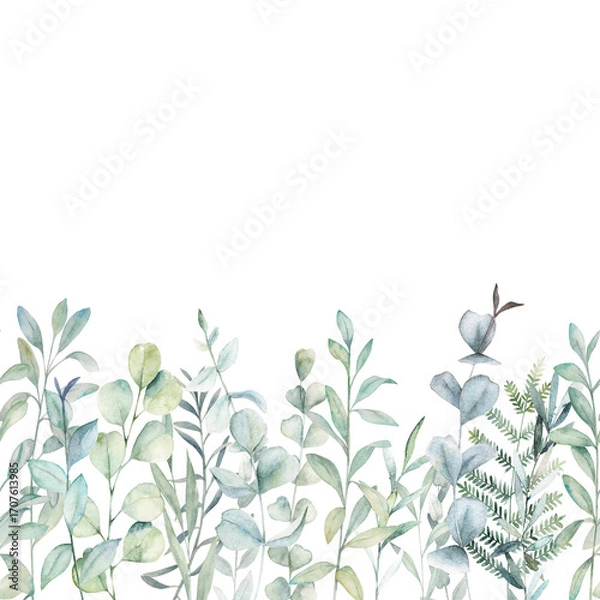 Fototapeta Floral seamless border. Watercolor pattern with herbs and eucalyptus branches on white background. Hand drawn illustration