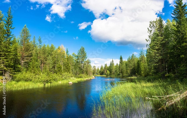 Obraz Beautiful landscape with a small river.