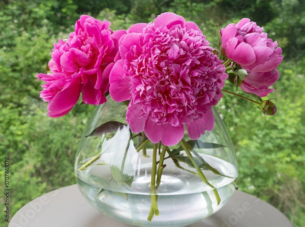 Fototapeta A clear round vase holds a bouquet of lush pink peonies. The flowers are set against a blurred green background, emphasizing their vibrant color.