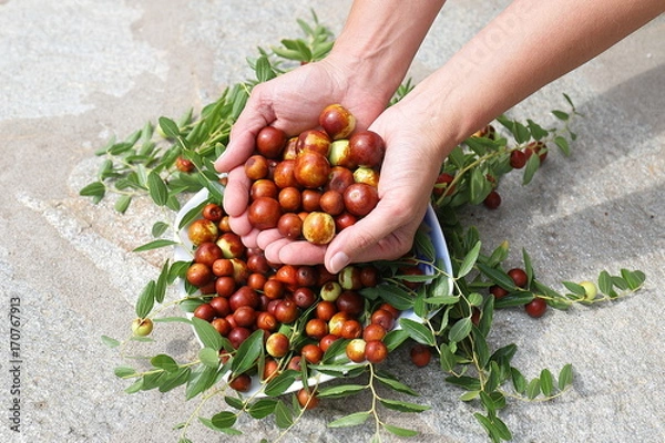 Fototapeta giuggiole