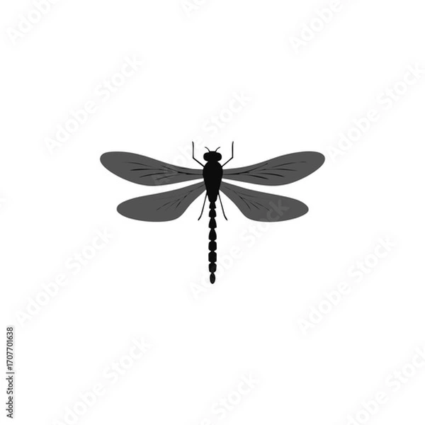 Fototapeta dragonfly on white
