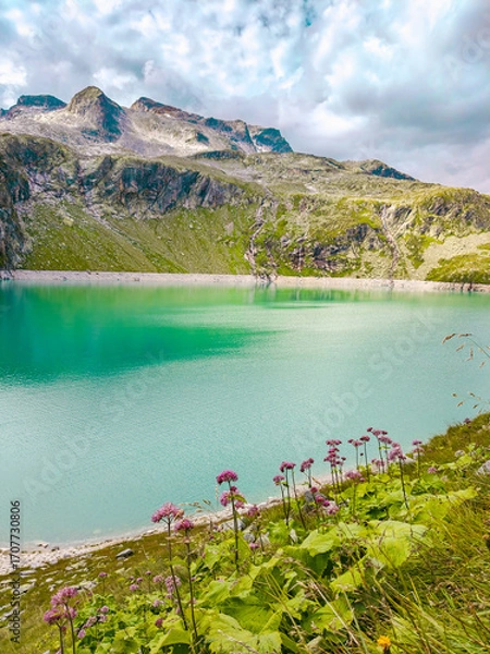 Fototapeta Austria, 08-2025 : wide shot of Weißsee lake, mountains and glaciers in background. Flowers in foreground.
