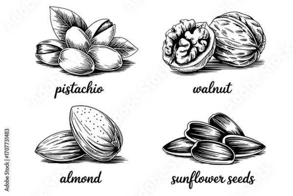 Fototapeta Hand-drawn illustrations of various nuts and seeds, including pistachios, walnuts, almonds, and sunflower seeds, perfect for healthy eating and culinary themes.