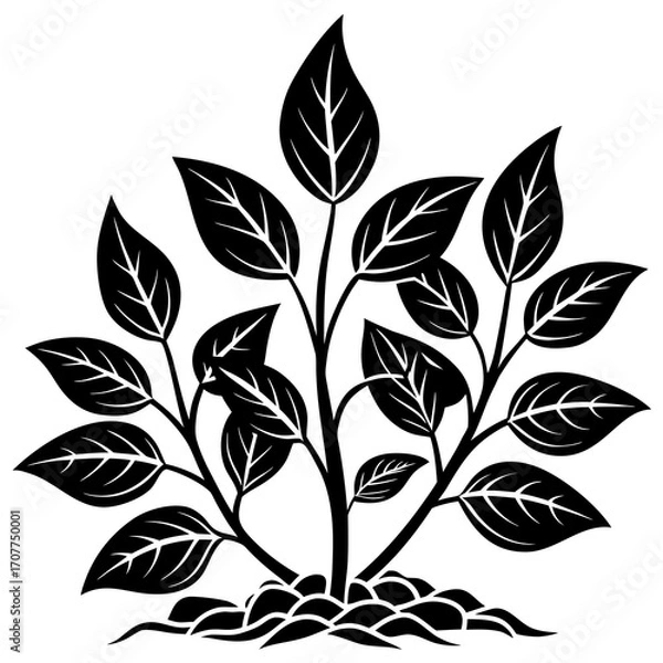 Obraz black and white leaves