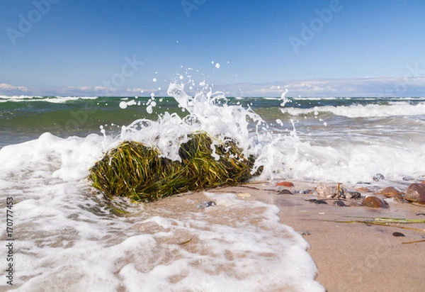 Obraz Seegras am Strand