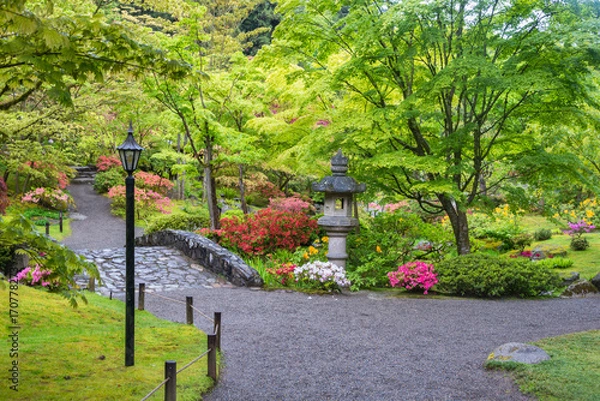 Fototapeta Japanese Garden Landscape on a Rainy Spring Day with Stone Bridge, Walking Paths, Stone Lantern, and Flowers, Japanese Garden Seattle Washington