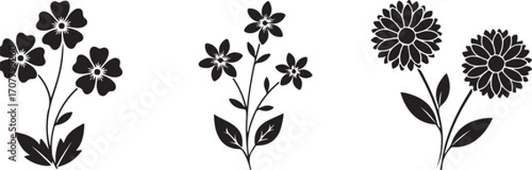 Obraz Floral Silhouettes in Monochrome: A collection of elegant floral silhouettes, meticulously crafted in a monochromatic style, showcasing the delicate beauty of blossoms, petals, and botanical details.