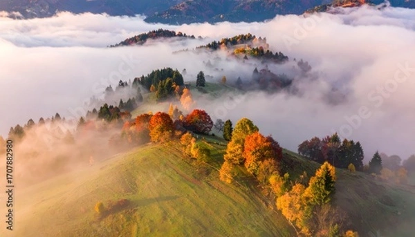Fototapeta autumn landscape with some fog in the golden morning light