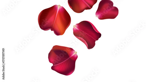 Fototapeta Floating red rose petals on black backdrop, perfect for romantic designs and elegant visuals