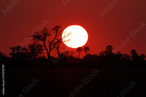 Fototapeta African sunset