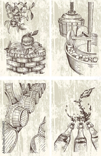 Fototapeta Cider Hand-drawn set. Cidermaking process illustrations in engraved style. Vector. 