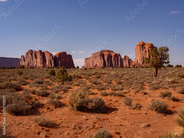 Fototapeta National parks usa southwest area of giant rock formations and table mountains in Monument Valley