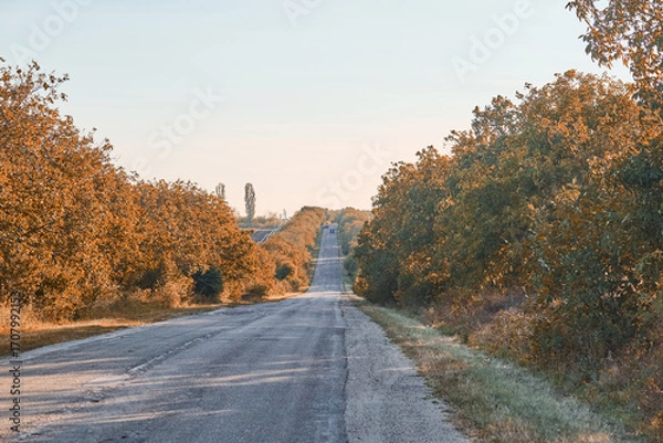 Obraz road in autumn