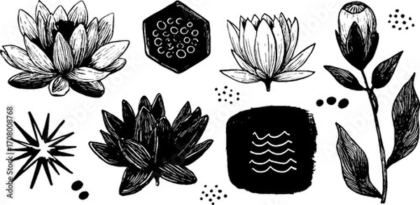 Fototapeta Spring lotus and flower mandala set with hexagon seeds and botanical design elements for creative projects