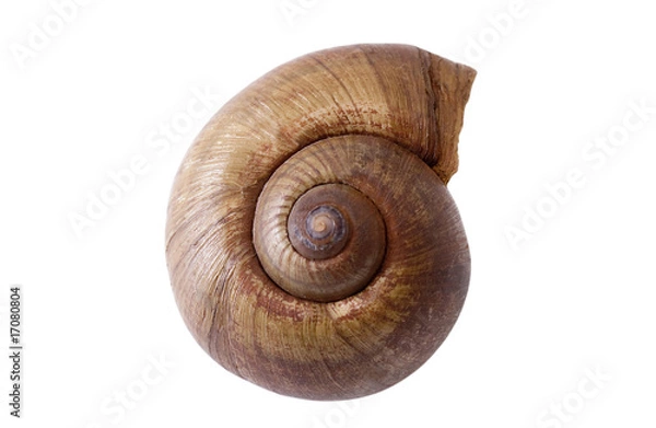 Obraz Schneckenhaus_3