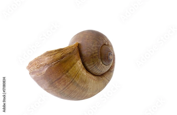 Obraz Schneckenhaus_1