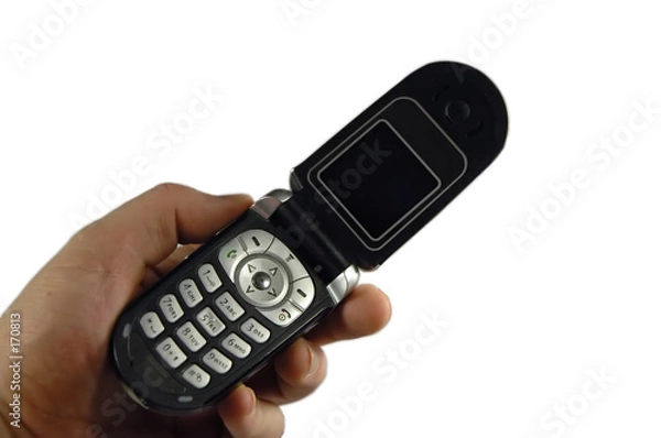 Obraz cell phone
