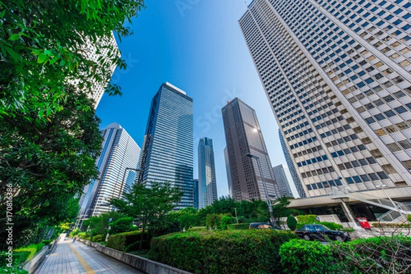 Fototapeta 新宿の高層ビル群