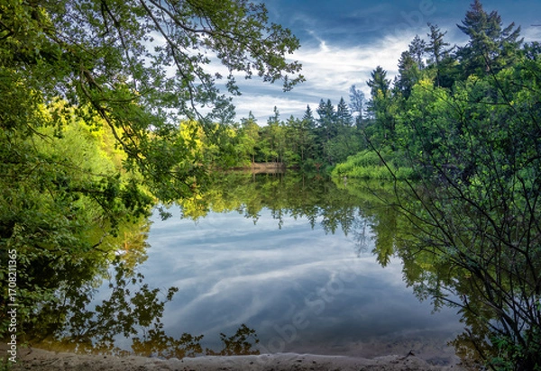 Fototapeta A serene lake reflects the lush green trees surrounding it. Vibrant foliage and a clear sky create a peaceful natural scene.