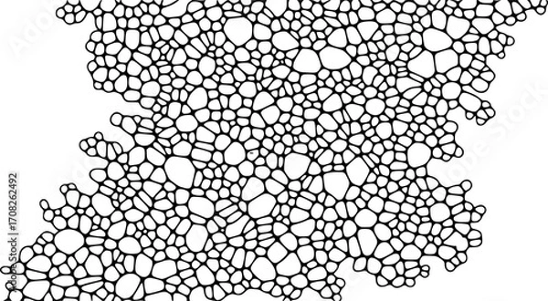 Fototapeta Abstract organic cell network pattern texture background digital art organic cellular structure vector