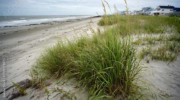Fototapeta View of a sand dune with a strip of grass the baltic sea and the sky
