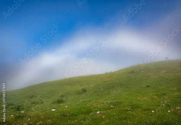 Obraz Arco iris de niebla