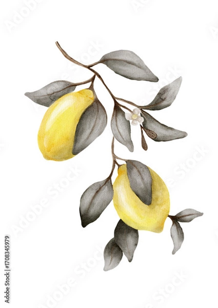 Fototapeta Bright lemons and gray leaves create a fresh watercolor pattern for textile design