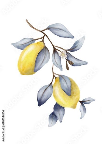 Fototapeta Fresh lemon branch watercolor design for textile and wrapping projects