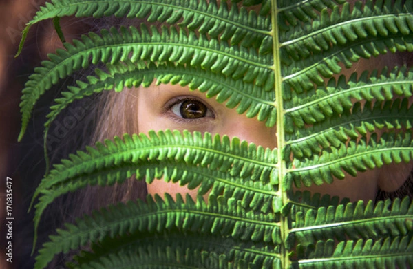Fototapeta The girl looks through a gap in the fern leaf