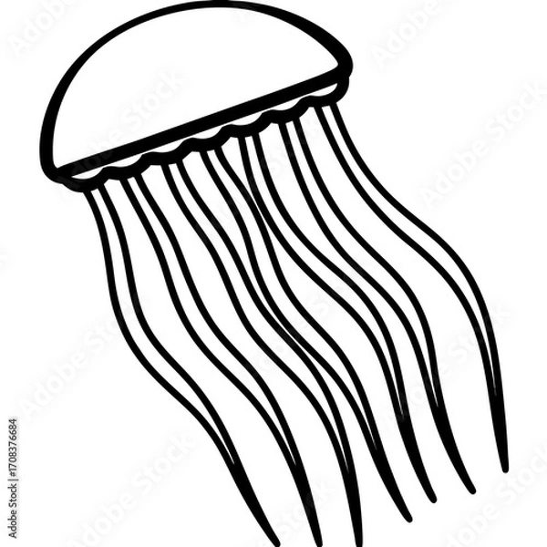 Fototapeta Comb Jelly line art vector