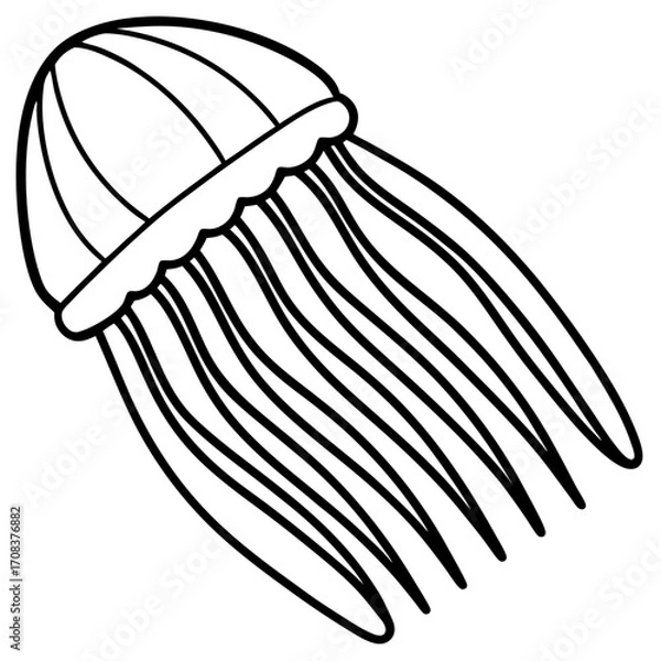Fototapeta Comb Jelly line art vector