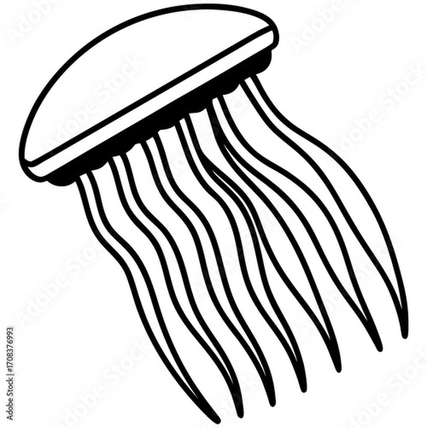 Fototapeta Comb Jelly line art vector