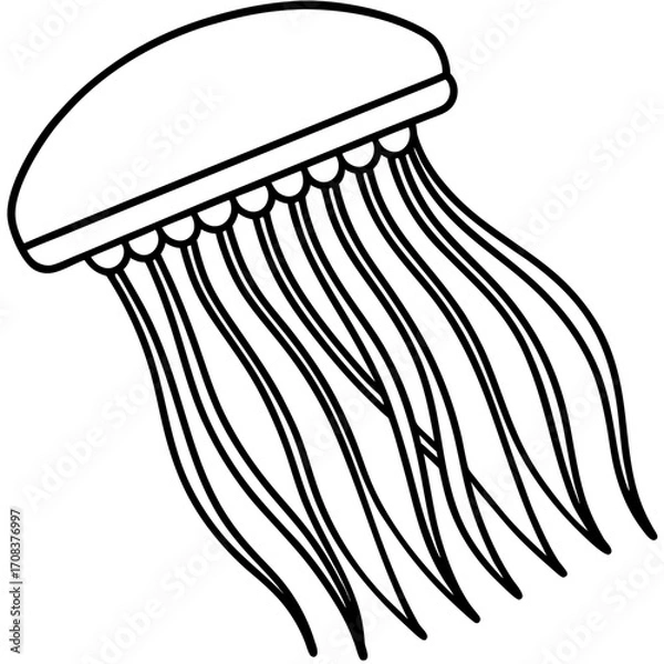 Fototapeta Comb Jelly line art vector