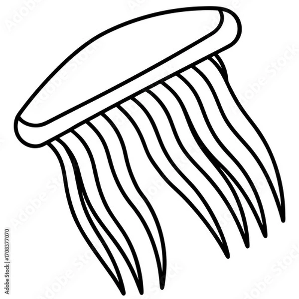 Obraz Comb Jelly line art vector