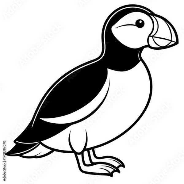 Fototapeta Puffin line art vector