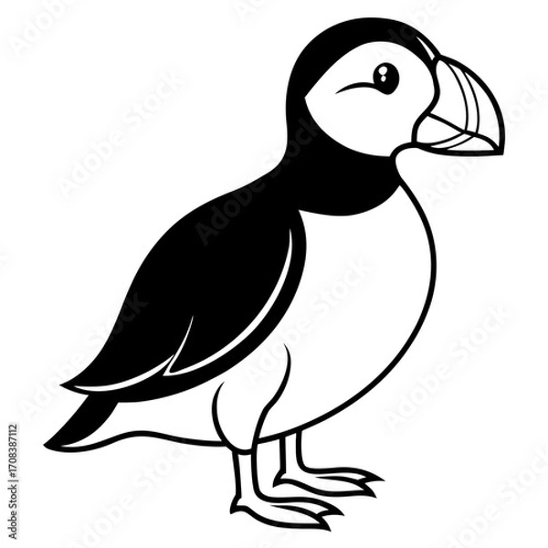 Obraz Puffin line art vector