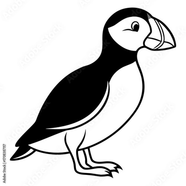 Fototapeta Puffin line art vector