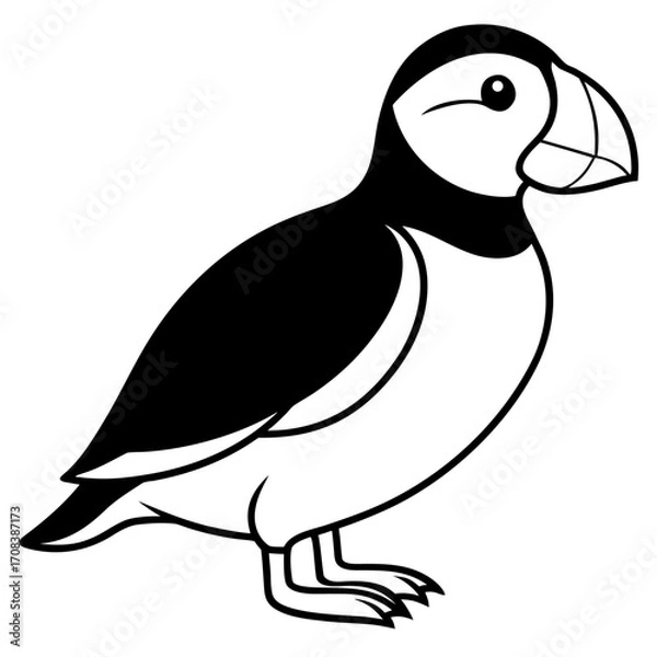 Obraz Puffin line art vector