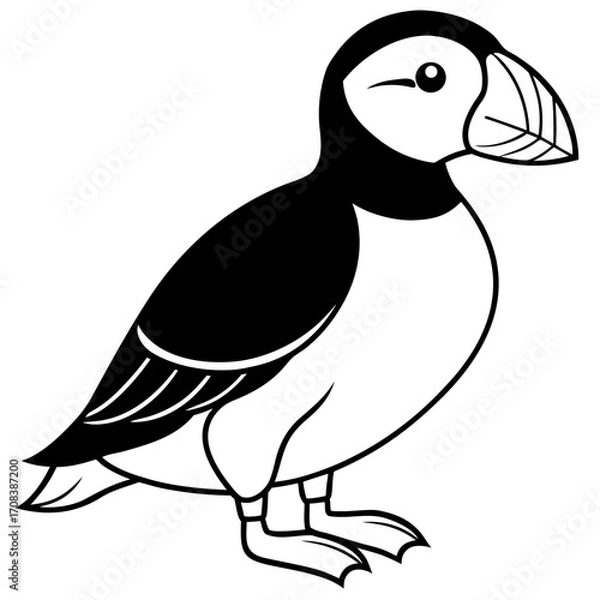 Obraz Puffin line art vector