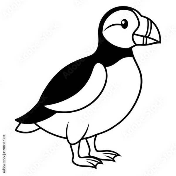 Fototapeta Puffin line art vector