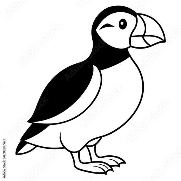 Obraz Puffin line art vector