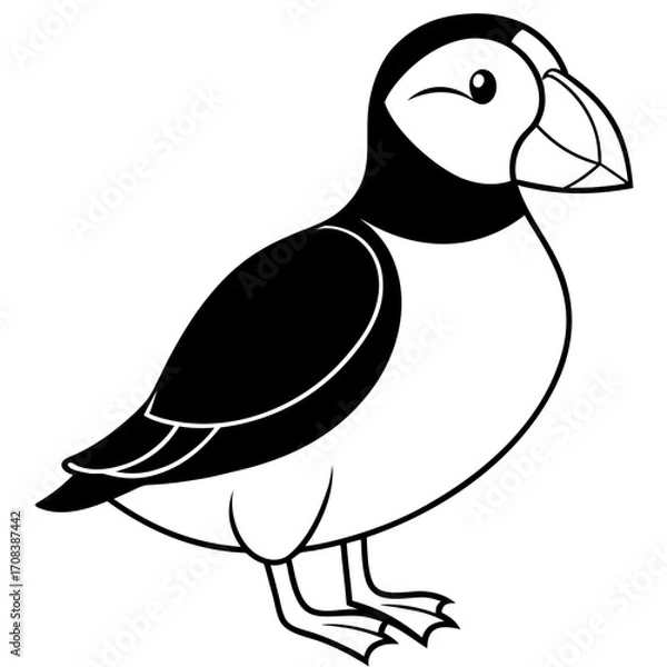 Obraz Puffin line art vector