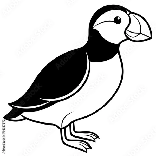 Obraz Puffin line art vector