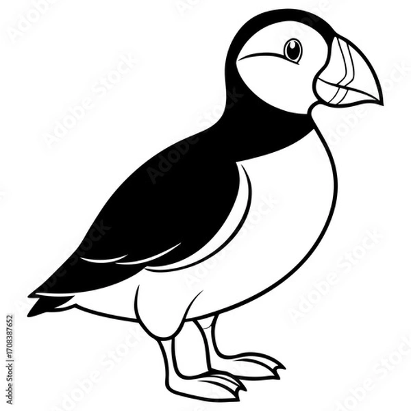Obraz Puffin line art vector