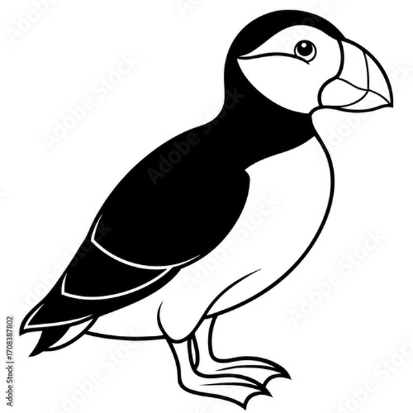 Fototapeta Puffin line art vector