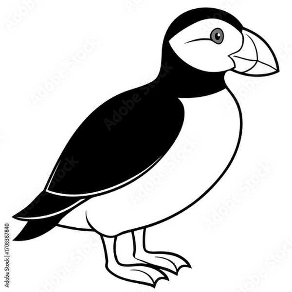 Obraz Puffin line art vector