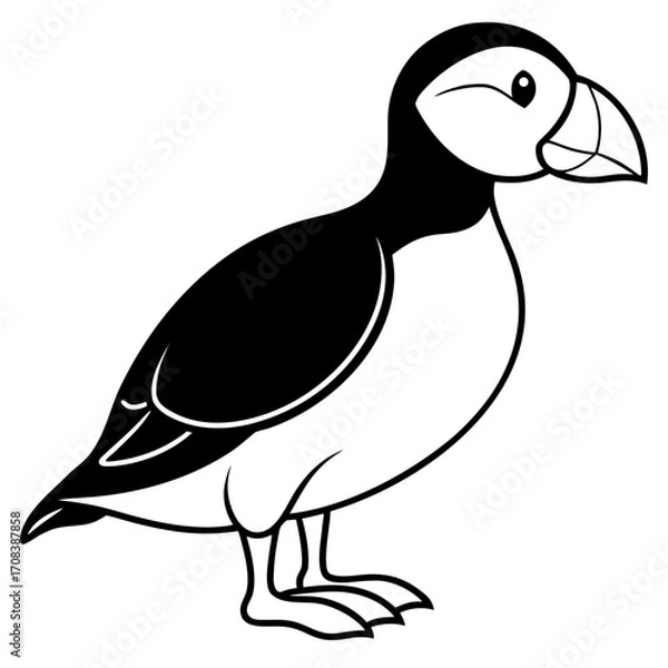 Obraz Puffin line art vector