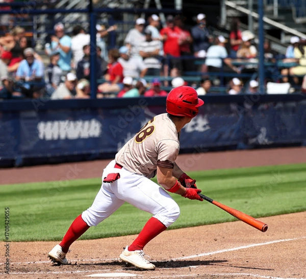 Obraz baseball batter