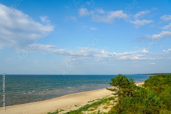 Obraz Scenic sandy Baltic sea beach with blue sea and cloudy sky, bordered by lush green coastal forest